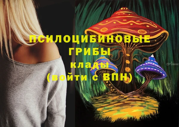 Альфа ПВП Абдулино