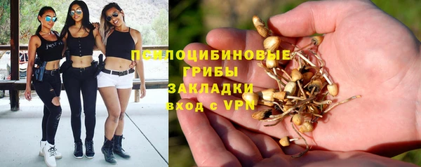 винт Абинск